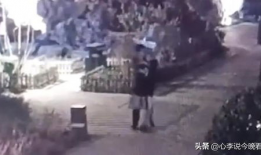 今日吃瓜视频完整版,揭秘幕后真相，带你领略娱乐圈风云变幻