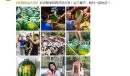今日吃瓜学生校园什么网站,学生热议焦点一网打尽