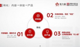 网络爆料 52爆料吃瓜网,娱乐圈最新热点事件